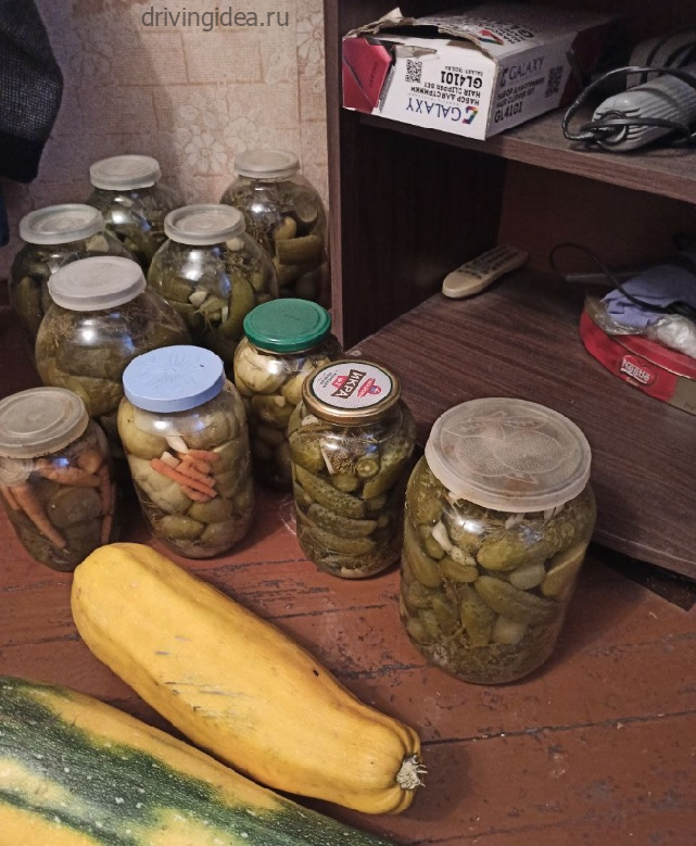 Засолка и консервирование