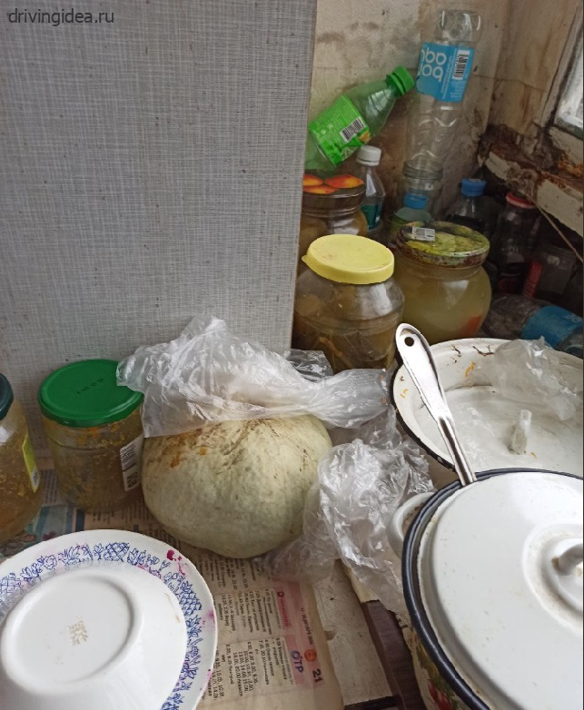 Засолка и консервирование
