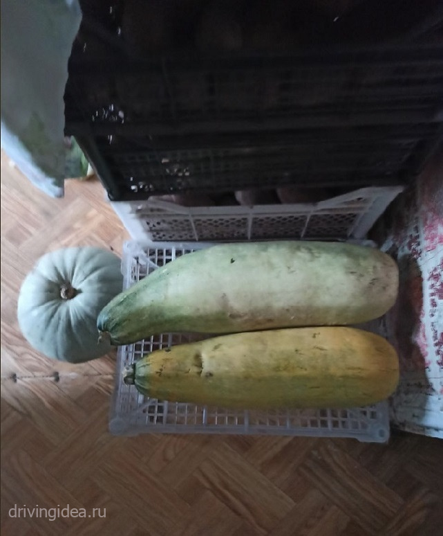 Засолка и консервирование