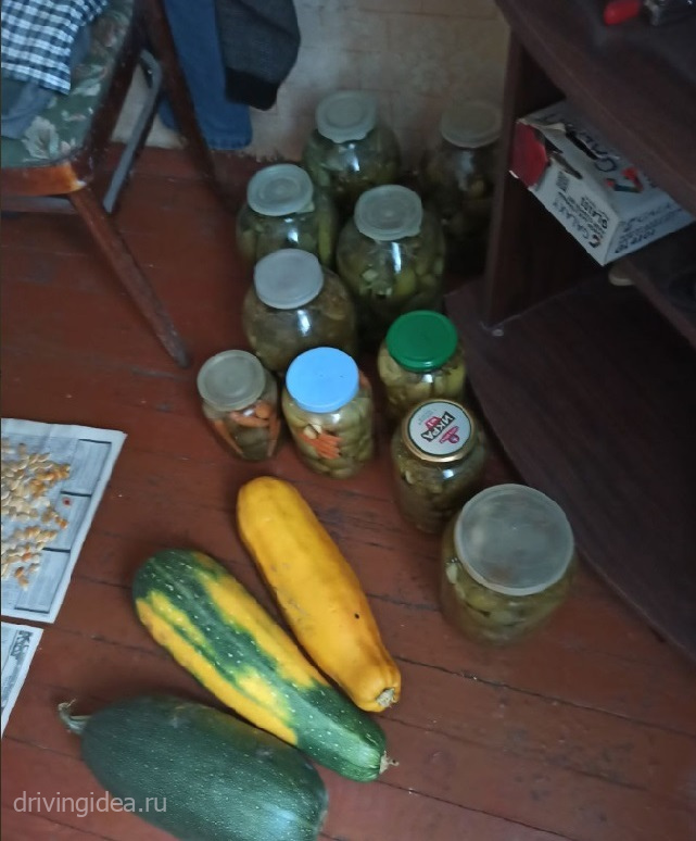 Засолка и консервирование