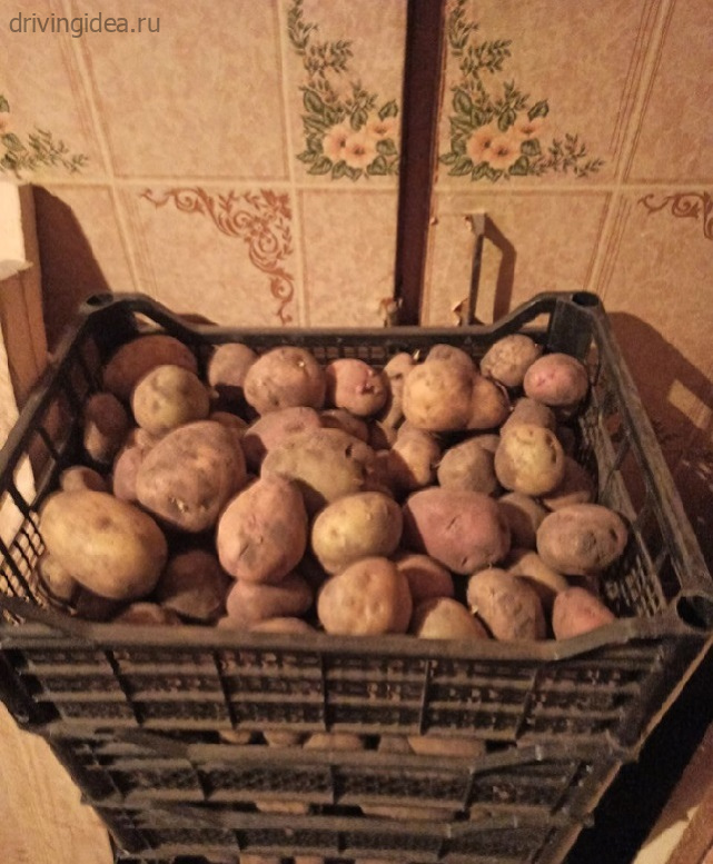Засолка и консервирование