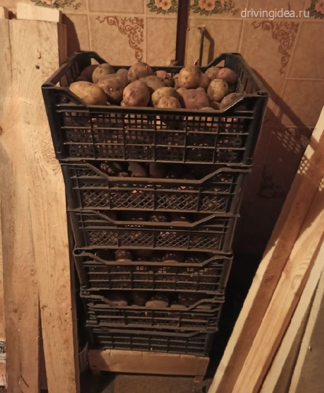 Засолка и консервирование