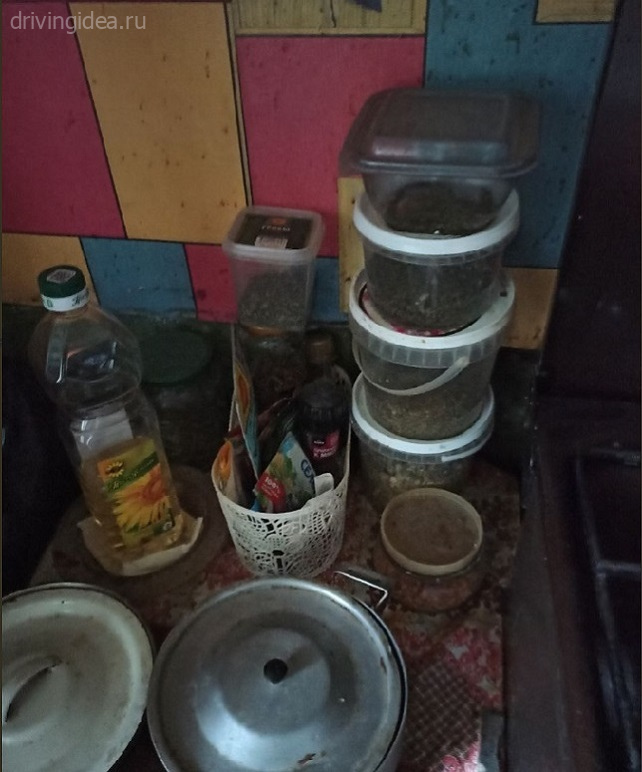 Засолка и консервирование