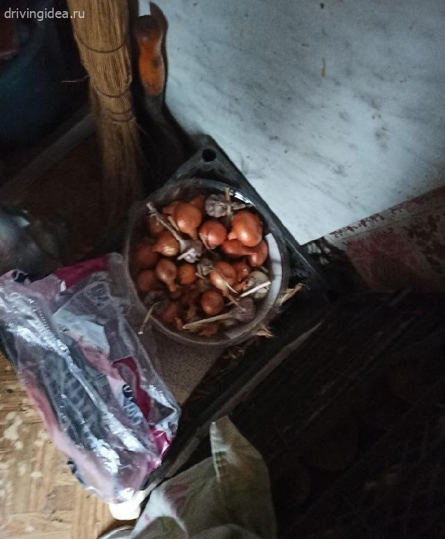 Засолка и консервирование